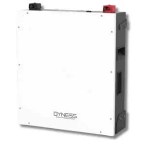 Dyness DL5.0C 5.12kWh Lithium Battery 100Ah 51.2V